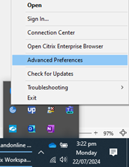 Advanced Preferences button in Citrix Workspace menu