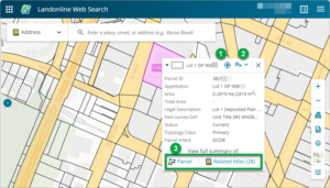 Screenshot of Landonline information panel