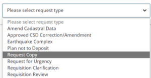 Dropdown menu with 'Request Copy' option highlighted