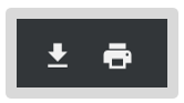 Screenshot of Download and Print icons in the Export to PDF window. 