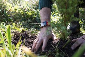 A pair of hands planting a tree in the soil