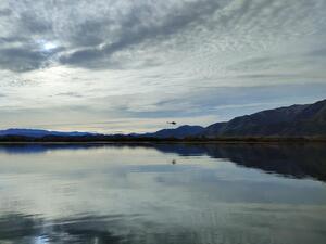 Calm scene at Lake Benmore 